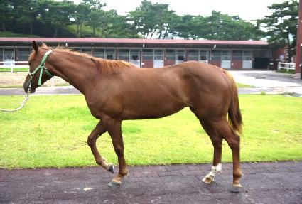 ���ǹ��� ����