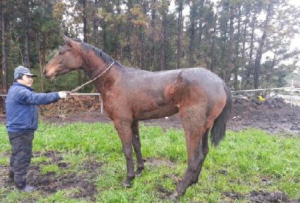 �������� ����