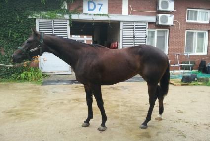 ������� ����