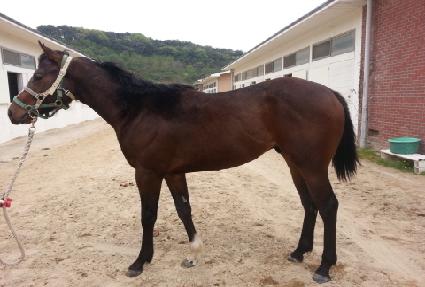 ���տ��� ����