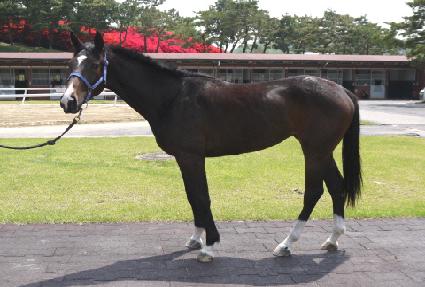 ������ ����