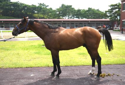 ���̸� ����