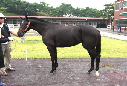 ��µ��� ����