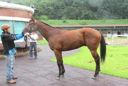 �ݺ���� ����