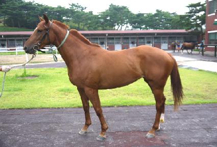 ���̾��Ŀ� ����