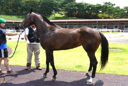 �����հ��� ����