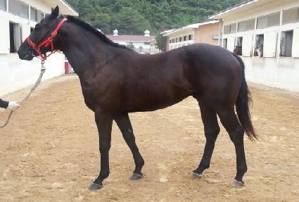 ����Ű ����