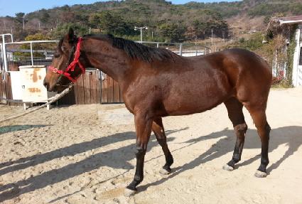 �������� ����