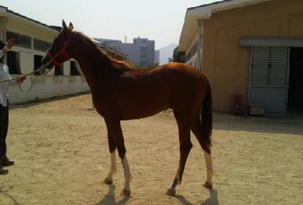 �������ູ ����