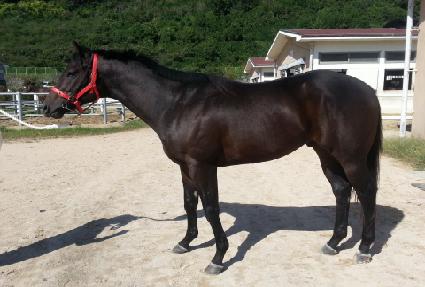 ��ȣ ����