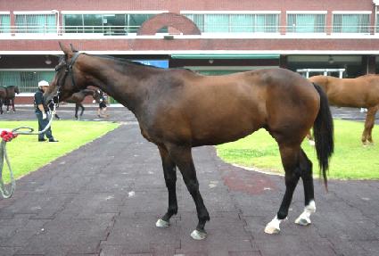 ���̽������� ����