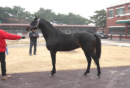 �������� ����