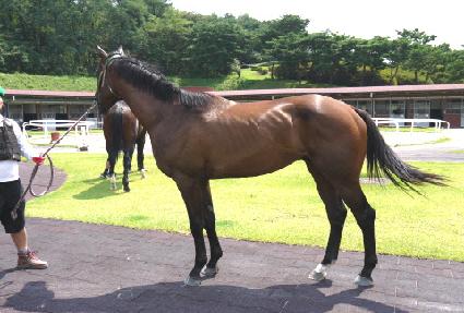 ���ۺ� ����