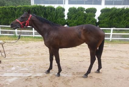 �¸�Ĺ ����