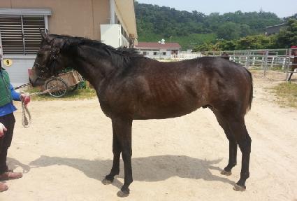 �ϳ��� ����