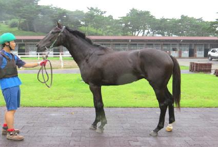 ��ī���� ����