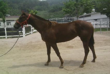 �����ǿ��� ����