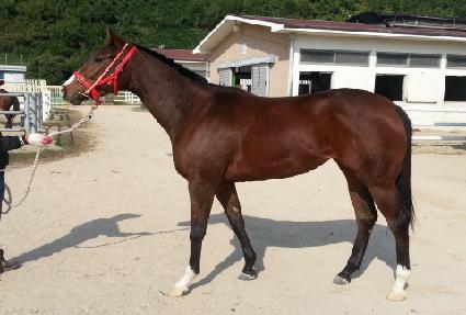 �������ǵ� ����