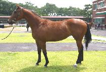 ��Ʈ���� (PORTRAY) ����