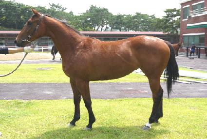 ��Ʈ���� ����