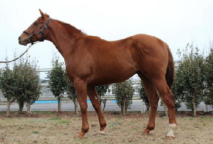 ǻ������ζ����ڸ� ����