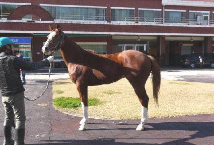 �������� ����