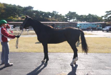 ų�� ����