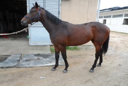 ����Ҳ� ����