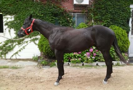 ������� ����