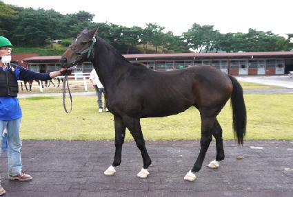 �������� ����