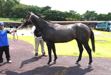 �뵿õ�� ����