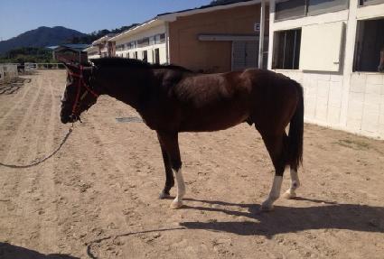 �ѹ齺Ÿ ����