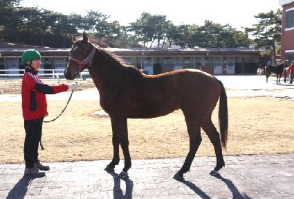 ��콺���� ����