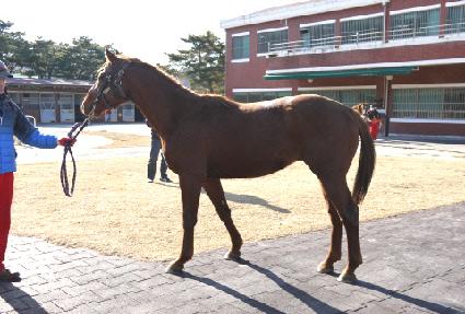 ������ ����