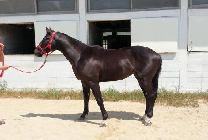 ��´�� ����