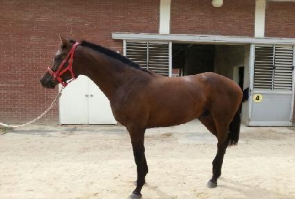 �ż�����Ƽ ����