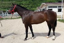 ����ġ (GOOD TOUCH) ����