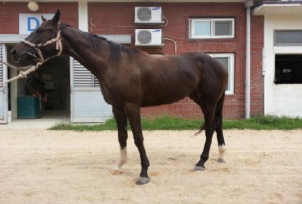 �������̽� ����