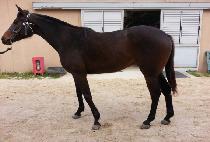 ����ž (GEUMJATAP) ����