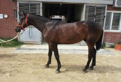 �������� ����