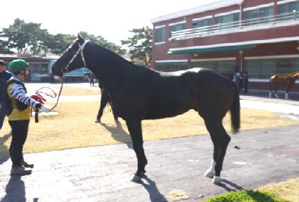 ���Ÿ�� ����