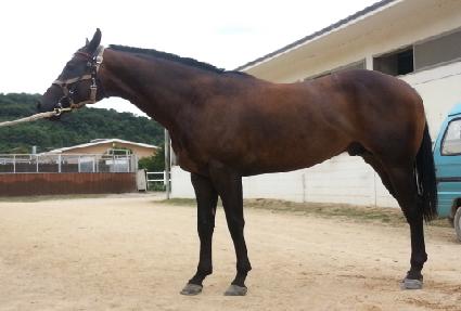 �︮���ý� ����