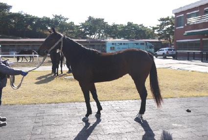 ����� ����