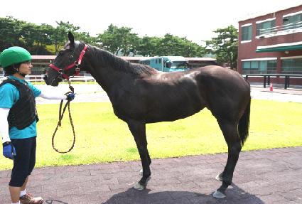 ��������� ����