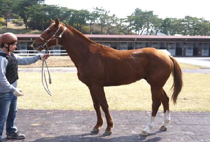 ���������� ����