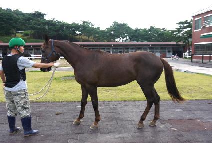 �ؿ� ����