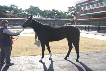 ������� ����