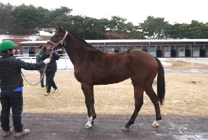 ��ǰ ����