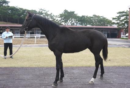 �ݺ����� ����