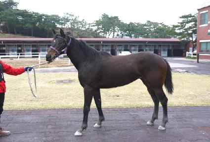 ������ ����